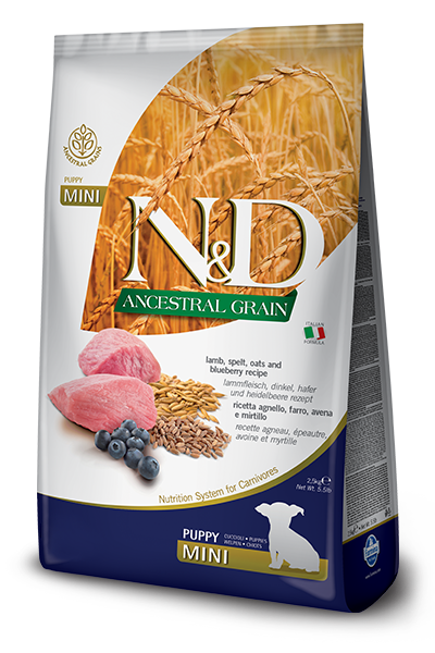 N&D Ancestral Grain Lamb & Blueberry Puppy Mini