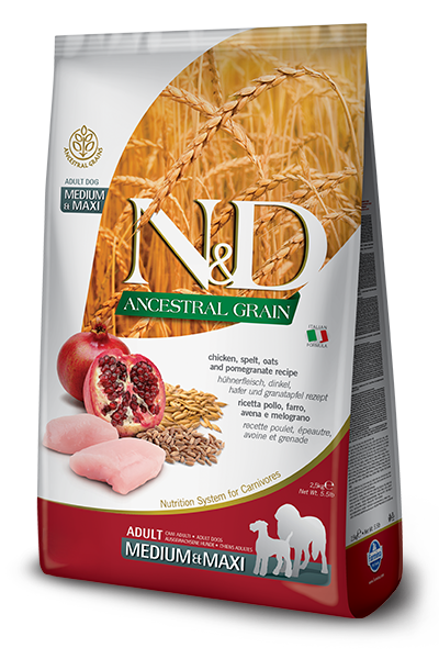 N&D Ancestral Grain Chicken & Pomegranate Adult Medium/Maxi