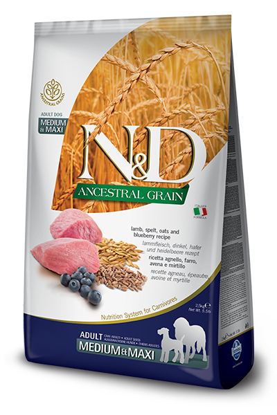 N&D Ancestral Grain Lamb & Blueberry Adult Medium/Maxi