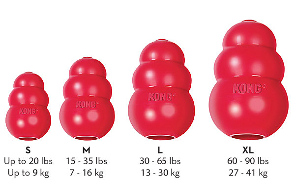 Kong Classic for Average Chewers